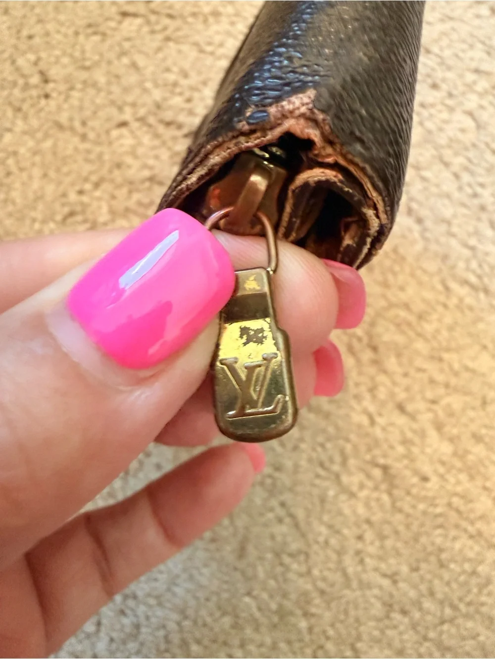 Louis Vuitton Snap & Zip Wallet